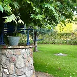 Viki 3* Pefki (Evia)