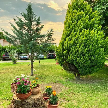Viki Aparthotel 3*