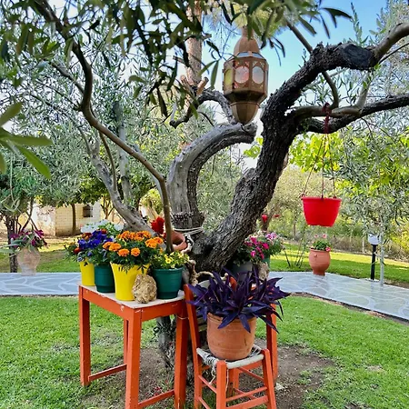 Viki 아파트호텔 3*