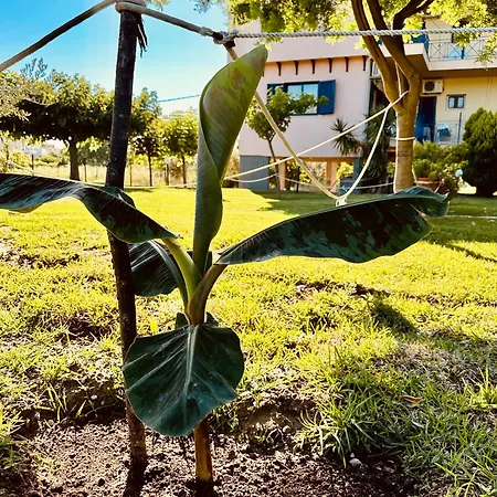 Viki Hotel apartamentowy