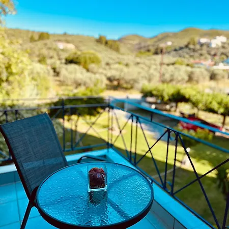 아파트호텔 Viki 3*