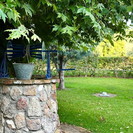 Viki 3* Pefki (Evia)