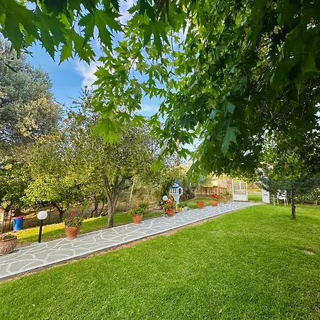 Hotel apartamentowy Viki Pefki (Evia)